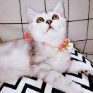 tan酱49104的个人资料头像