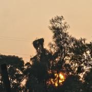 W13w的个人资料头像