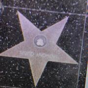 星星835的个人资料头像