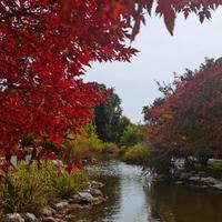 想到哪说哪头像