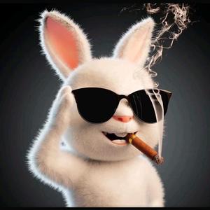 智慧看头像