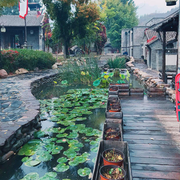 Lucien君的个人资料头像