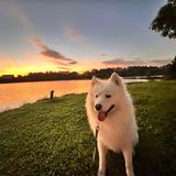 用户3773034501122头像