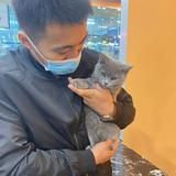 告辞720头像