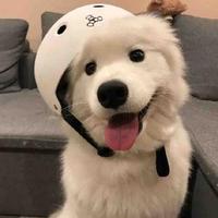 欣赏与微笑头像