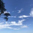 生若夏花的个人资料头像