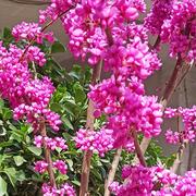 flutter_20250305969的个人资料头像