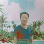 村花老阿姨头像