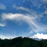 地久陪天长0头像