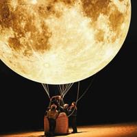 娃哈哈面条头像