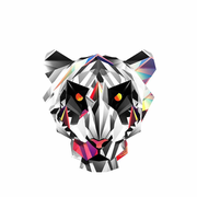 Hzhyang59212的个人资料头像