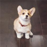 用户78829313125的个人资料头像