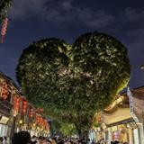 仲令枫头像