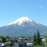 森林48278头像