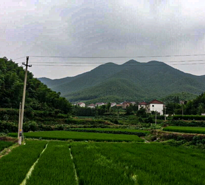 平天山人头像