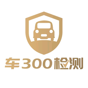 洛阳车300二手车第三方检测鉴定评估头像