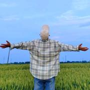 ok748的个人资料头像