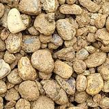 屠龙刀趣事头像