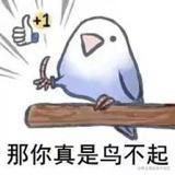 kvsur的个人资料头像