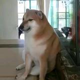 数字没得很头像
