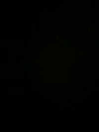 奔驰济南鹏龙金阳光头像