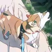 iMikasa的个人资料头像