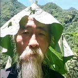 鲜笑于天头像