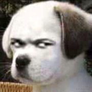 GengZzz的个人资料头像