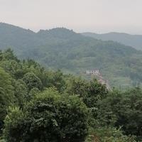 月关460头像
