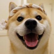 AzeShinja的个人资料头像