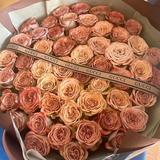 冒险家从不冒险头像