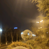 xiao林在贵州头像
