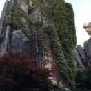 年轻就要活出Young的个人资料头像