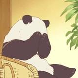 PengZi头像