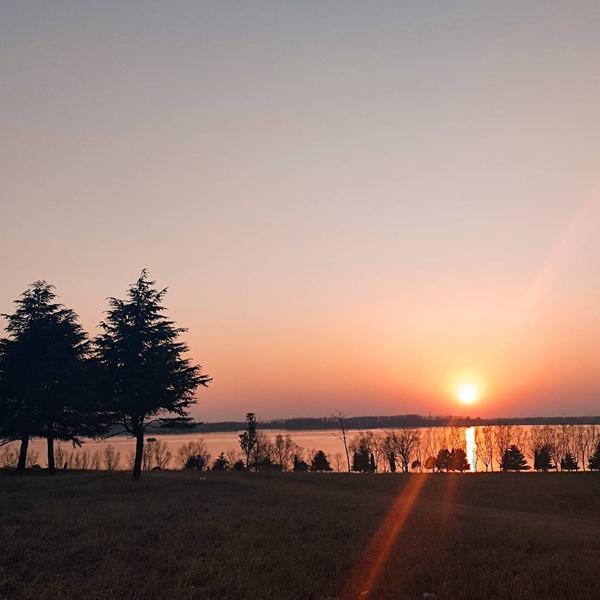 闲聊豫小哥头像