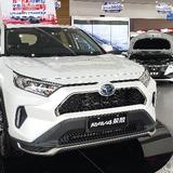 排骨饭2021头像