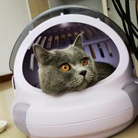 爱画画的老阿姨可可头像