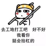 别杠你都对十一头像