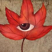 GTsung的个人资料头像