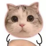 小李呀哈喽头像