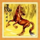 苍海6218头像