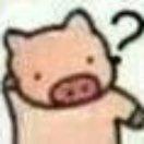 lexie的个人资料头像