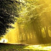 往后ン余生灬头像