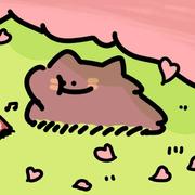 薛定谔的哈士奇的个人资料头像