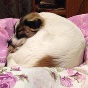 windzjl的个人资料头像