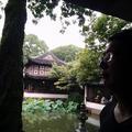 四禽木头像