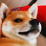 二沐001头像