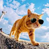 花果山小迷猴头像