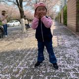 上海臻程汽车技术服务中心头像