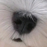 mrhod头像